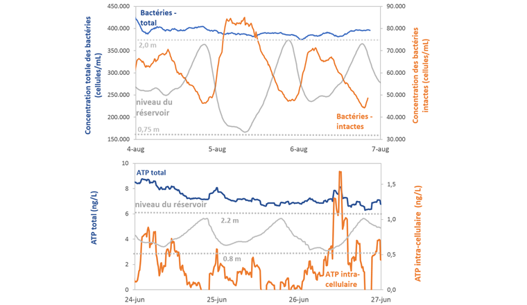 Fig. 3 Variations sur 3 jours de la concentration totale de bactéries (ligne bleue; figure du haut) et des bactéries intactes (ligne orange; figure du haut), et de la concentration totale d’ATP (ligne bleue; figure du bas) et d’ATP intracellulaire (ligne orange; figure du bas). Les lignes grises indiquent le niveau du réservoir d’eau potable. Les niveaux le plus haut et le plus bas sont indiqués par les lignes grises pointillées.
