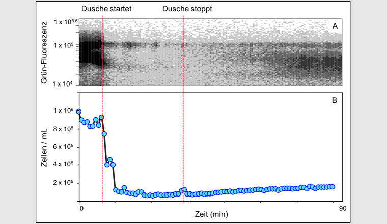 Fig. 3 Dynamiken der mikrobiellen Ablösung vom Biofilm in die Trinkwasserphase nach  24 Stunden Stagnation, während und nach einem Duschereignis, gemessen mittels Echtzeit-Durchflusszytometrie. In (A) repräsentiert jeder Punkt die Grün-Fluoreszenz eines Partikels, der in Echtzeit gemessen wurde. Dieses Signal wurde in (B) zu bakteriellen Zellzahlen umgewandelt. Die rot gestrichelten Linien markieren Start und Ende des Duschereignisses.