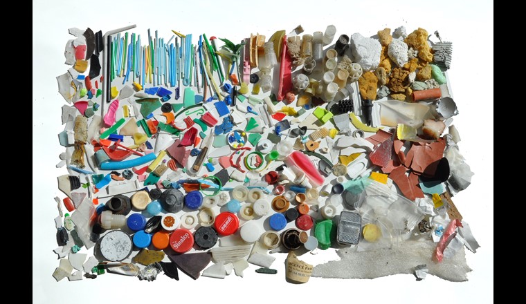 Plastiques récoltés sur la plage de la Maladaire du lac Léman en mars 2016. (© M. Filella)