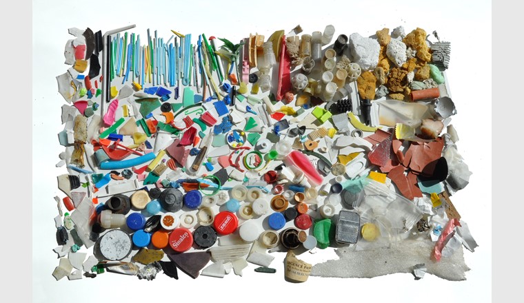 Plastiques récoltés sur la plage de la Maladaire du lac Léman en mars 2016. (© M. Filella)