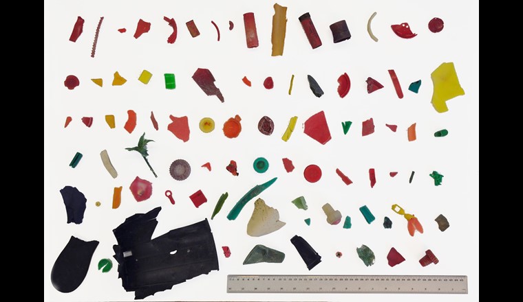 Plastiques contenant du cadmium découverts sur les rives du lac Léman en mars 2016. (© M. Filella)