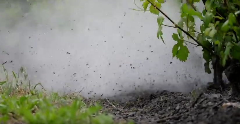 Leitungswasser unter Hochdruck soll das Unkraut vertilgen