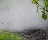Leitungswasser unter Hochdruck soll das Unkraut vertilgen Leitungswasser unter Hochdruck soll das Unkraut vertilgen