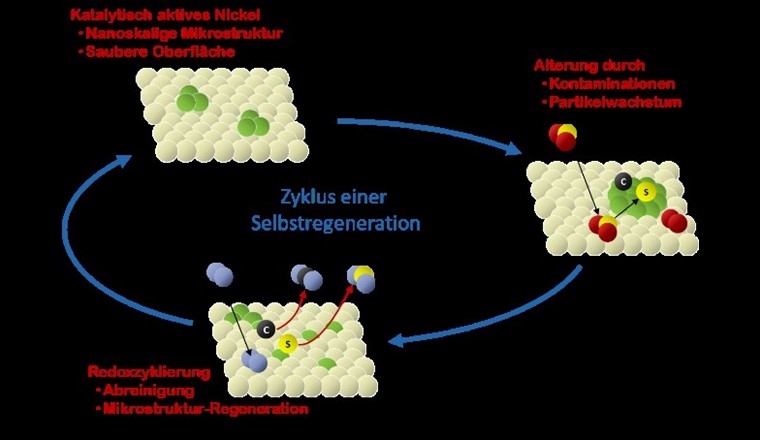 Schematische Darstellung der Selbstregeneration des «Smartcat».