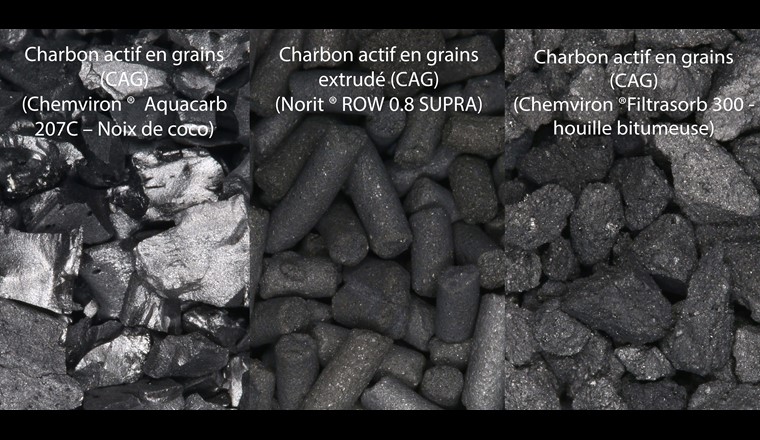 Fig. 6 Les charbons actifs en grain testés sur Saint-Sulpice