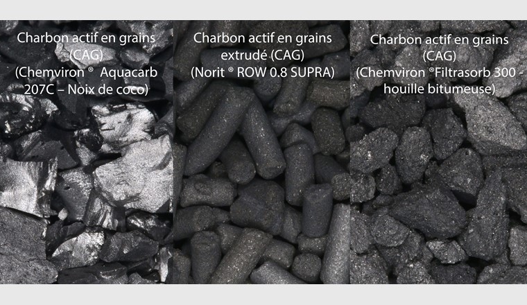 Fig. 6 Les charbons actifs en grain testés sur Saint-Sulpice