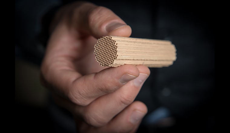 La structure du matériau de support du catalyseur rappelle celle d'une éponge. Le catalyseur fonctionne de manière stable et traite efficacement les gaz d'échappement, même à basse température. (Photo: Institut Paul Scherrer/Mahir Dzambegovic)