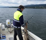 Die Wasserproben für die Glyphosat-Messungen wurden im Greifensee entnommen.  Die Wasserproben für die Glyphosat-Messungen wurden im Greifensee entnommen.