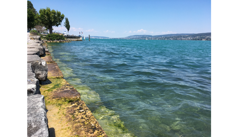 Auch der Pegel des Zürichsees liegt derzeit tiefer als normalerweise im Juli. Hier eine Aufnahme von Thalwil von Ende Juli 2018.