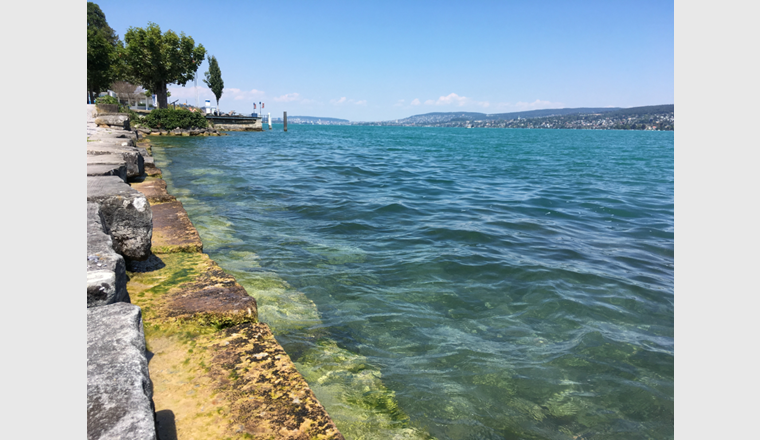 Auch der Pegel des Zürichsees liegt derzeit tiefer als normalerweise im Juli. Hier eine Aufnahme von Thalwil von Ende Juli 2018.