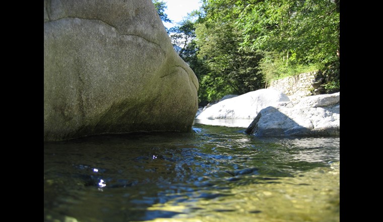 l’Annuaire hydrologique de la Suisse donne une bonne vue des cours d'eau.