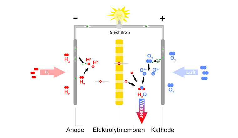 Das Wasserstoffgas kann als Brennstoff gespeichert und in einer Brennstoffzelle verbraucht werden, um bei Bedarf Elektrizität zu erzeugen. Dabei entsteht nur Wasser als Abfallprodukt.