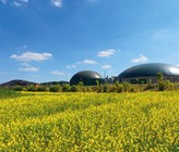 Realistisches Ziel: 30% erneuerbare Gase bis 2030 Realistisches Ziel: 30% erneuerbare Gase bis 2030