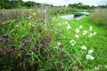 Biodiversität und Gewässerschutz in der Reinacher Heide.