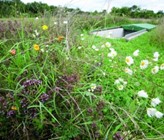Biodiversität und Gewässerschutz in der Reinacher Heide. Biodiversität und Gewässerschutz in der Reinacher Heide.