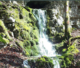 Gibt es im Engadin genug Wasser für alle? Das ist momentan das "Tagesgespräch." Gibt es im Engadin genug Wasser für alle? Das ist momentan das "Tagesgespräch."