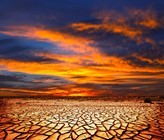 Die Trockenheit wird immer mehr zum Thema - auch in den Schweizer Medien (Foto: 123rf.com) Die Trockenheit wird immer mehr zum Thema - auch in den Schweizer Medien (Foto: 123rf.com)