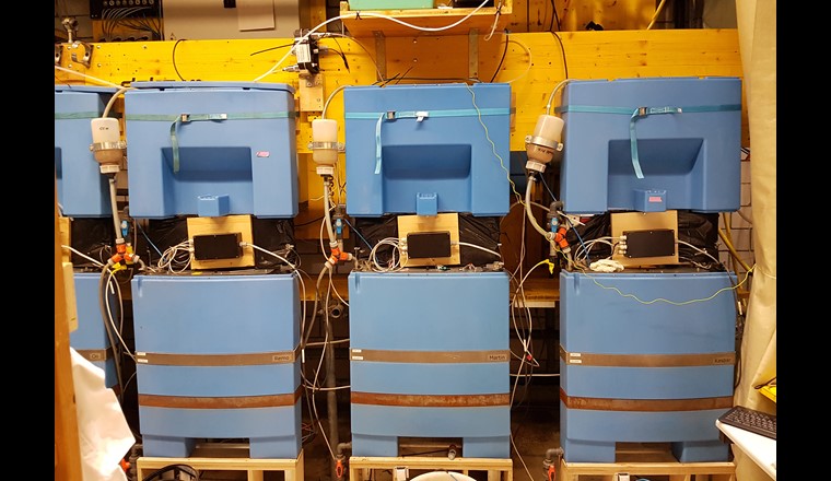Die von der österreichischen Firma EOOS designten Wasserwände stehen hier in der Versuchshallte der Eawag für systematische Tests. 
(Foto: Ch. Ziemba, Eawag)