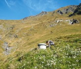 Energiepotenziale in Tessiner Wasserversorgungen Energiepotenziale in Tessiner Wasserversorgungen