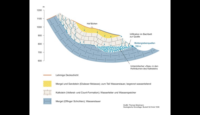 Gesteinsaufbau und Karstwassersituation im Einzugsgebiet der Bürtengrabenquellen. Entscheidend für die besondere Situation beim Oberflächenabfluss sind die nur lokal vorkommenden tertiären Mergel als oberste Gesteinsschicht über der Juraserie.