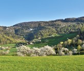 Qualität des Quellwassers und Ausbau der Wasseraufbereitung der Gemeinde Lauwil Qualität des Quellwassers und Ausbau der Wasseraufbereitung der Gemeinde Lauwil