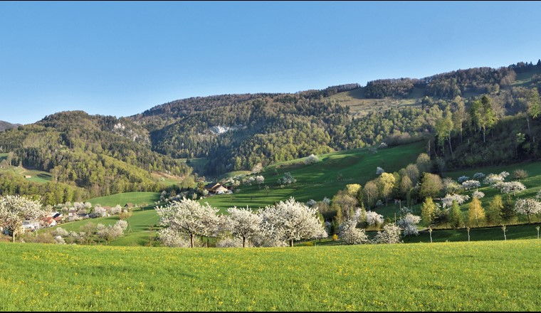 Qualität des Quellwassers und Ausbau der Wasseraufbereitung der Gemeinde Lauwil