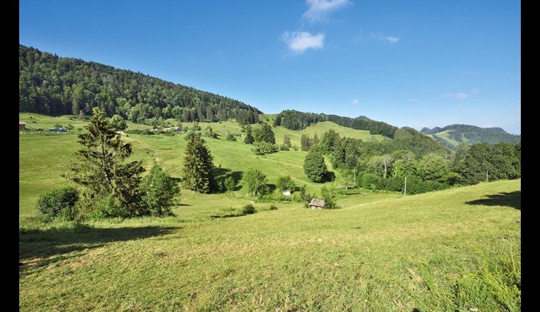 Das Gebiet Bürten auf der Nordseite des Passwangs (950–1030 m ü. M.). Auf der rechten Seite der direkt an die Wiesen und Weiden angrenzende Bürtengraben mit drei Bächen.