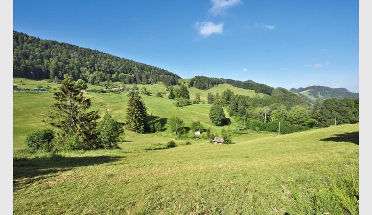 Das Gebiet Bürten auf der Nordseite des Passwangs (950–1030 m ü. M.). Auf der rechten Seite der direkt an die Wiesen und Weiden angrenzende Bürtengraben mit drei Bächen.