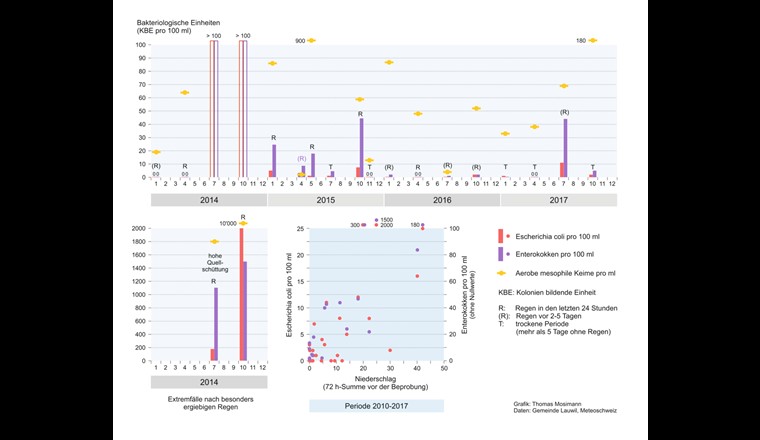 Keimbelastung der Bürtengrabenquellen (Gesamtrohwasser). Bei mehr als 12 mm Niederschlag in den letzten 72 Stunden liegt die Belastung fast immer über 5 KBE/100 ml (Escherichia coli) bzw. 20 KBE/100 ml (Enterokokken).