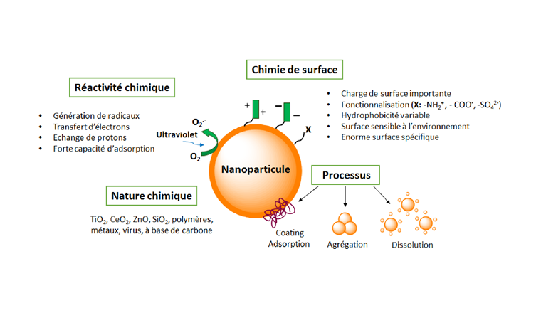 Fig. 2 Aperçu des principales propriétés chimiques des nanoparticules manufacturées.
