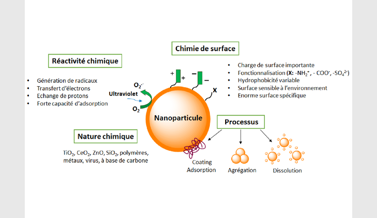 Fig. 2 Aperçu des principales propriétés chimiques des nanoparticules manufacturées.