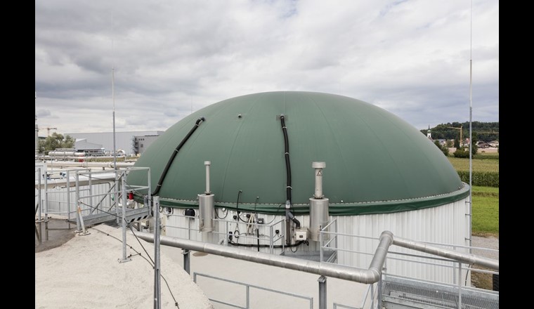 Während das Wachstum von Photovoltaik und Wind im Stromsektor anhalten wird, bleibt die Bioenergie aufgrund ihrer weit verbreiteten Nutzung in den Bereichen Wärme und Verkehr die größte Quelle erneuerbarer Energien, in denen andere erneuerbare Energien derzeit eine viel geringere Rolle spielen.