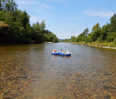 Die Thur führt schon seit  ganzen fünf Monaten nur wenig Wasser. (Foto: BAFU) Die Thur führt schon seit  ganzen fünf Monaten nur wenig Wasser. (Foto: BAFU)