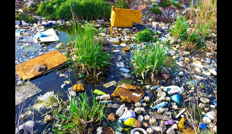 Eine grosse Menge des Plastikmülls im Genfersee stammt von Verpackungen (Symbolbild: 123rf/Dragon Zivkovic)
