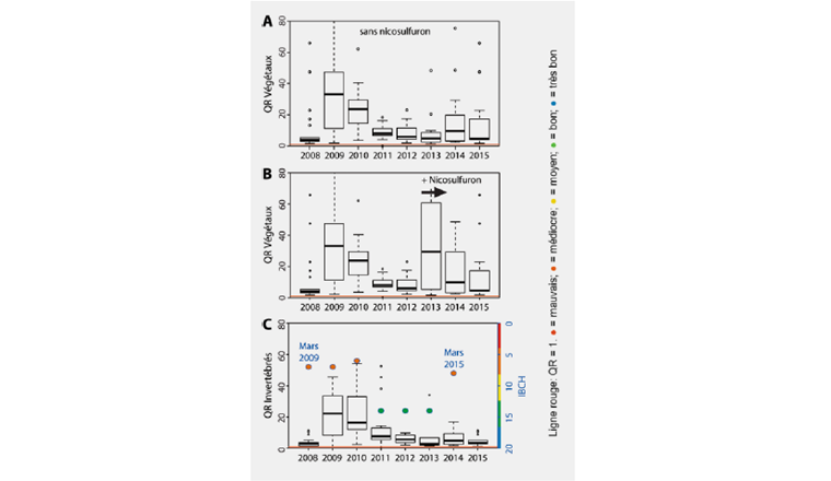 Fig. 5: Box-Plots der ökotoxikologischen Risikoquotienten des PSM-Gemisches für A) Pflanzen ohne Nicosulfuron, B) Pflanzen mit Nicosulfuron (untersucht ab 2013) und C) Inver-tebraten im Ruisseau des Charmilles, für die einzelnen Jahre anhand der zwischen März und Oktober gemessenen Konzentrationen berechnet. Der Biologische Index Schweiz (IBCH) vom März des Folgejahres ist mit invertierter Achse darübergelegt.