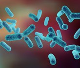 Legionellen sind Bakterien, welche 
überall in der Natur vorkommen – auch im
Trinkwasser. Bild: Kateryna Kon/123RF.com Legionellen sind Bakterien, welche 
überall in der Natur vorkommen – auch im
Trinkwasser. Bild: Kateryna Kon/123RF.com