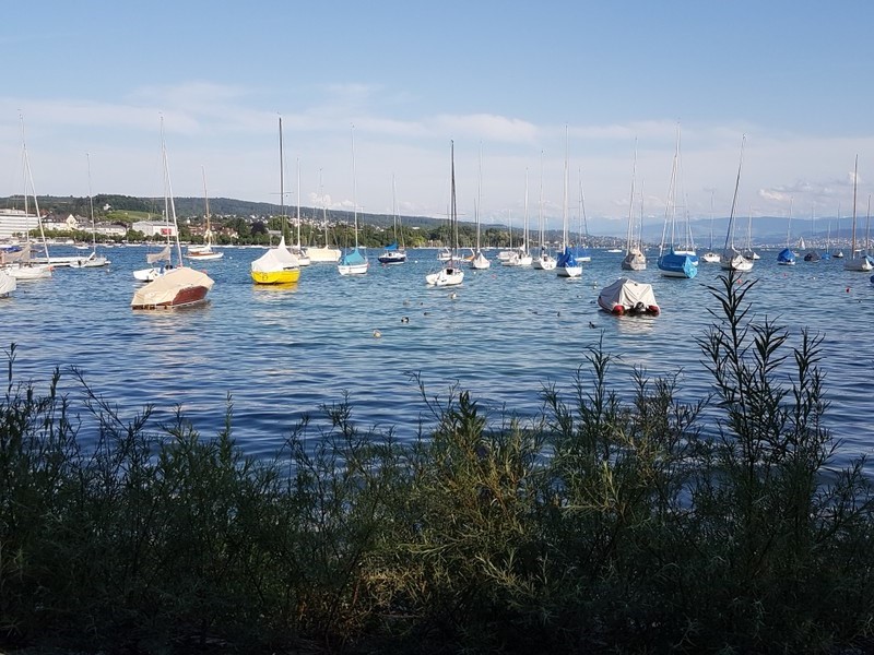 Bei den umstrittenen Punkten des neuen Wassergesetzes geht es am Zürichsee vor allem um die Rechte der Öffentlichkeit und der privaten Seite. (Foto: SVGW)