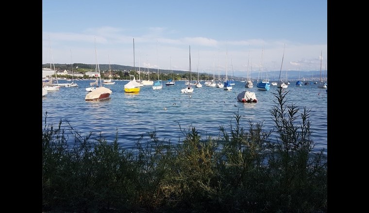 Bei den umstrittenen Punkten des neuen Wassergesetzes geht es am Zürichsee vor allem um die Rechte der Öffentlichkeit und der privaten Seite. (Foto: SVGW)