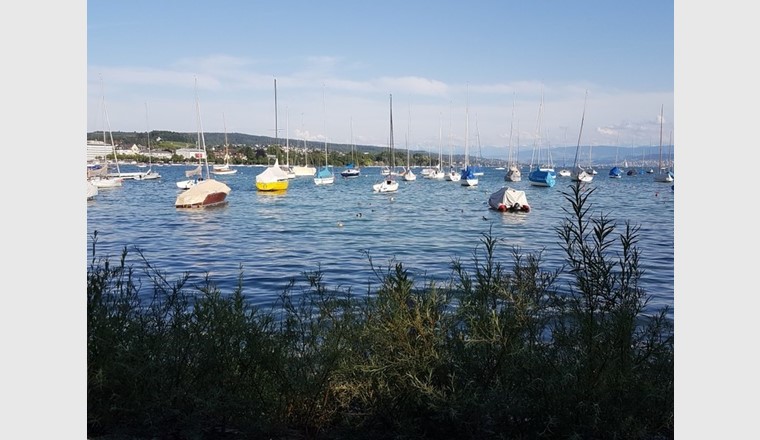 Bei den umstrittenen Punkten des neuen Wassergesetzes geht es am Zürichsee vor allem um die Rechte der Öffentlichkeit und der privaten Seite. (Foto: SVGW)