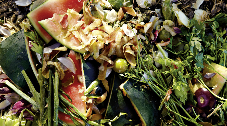 Die Industriellen Werke Basel (IWB) sind auf die Herstellung von Biogas vorbereitet, doch die Regierung ist vorerst gegen eine Quote an erneuerbarem Gas im Netz. (Bild: IWB)