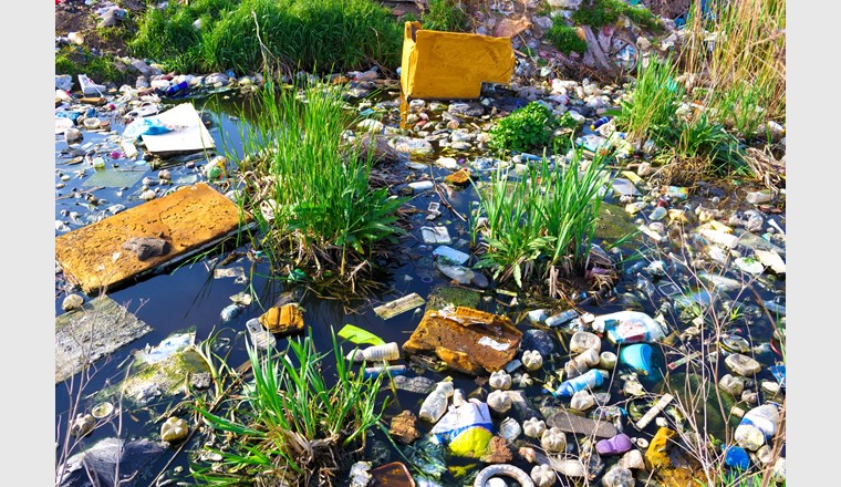 Immer wieder kommt es vor, dass Plastik und anderer Müll in den Gewässern landet. (Symbolbild: 123rf.com)