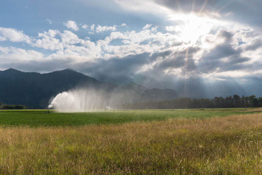 (c) makasanaphoto/123rf.com