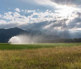 (c) makasanaphoto/123rf.com (c) makasanaphoto/123rf.com