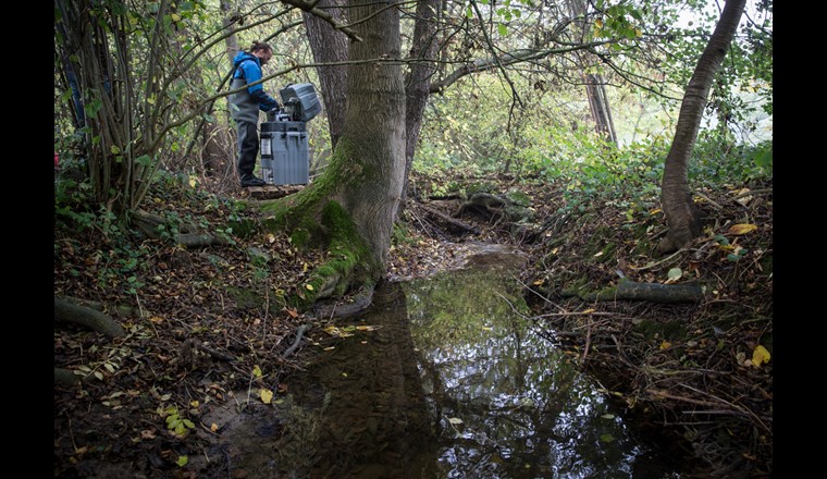 L'étude NAWA SPEZ 2017 confirme la pollution répandue des petits cours d'eau des zones d'agriculture intensive. Photo: Eschelisbach dans le canton de Thurgovie; Ester Michel, Eawag