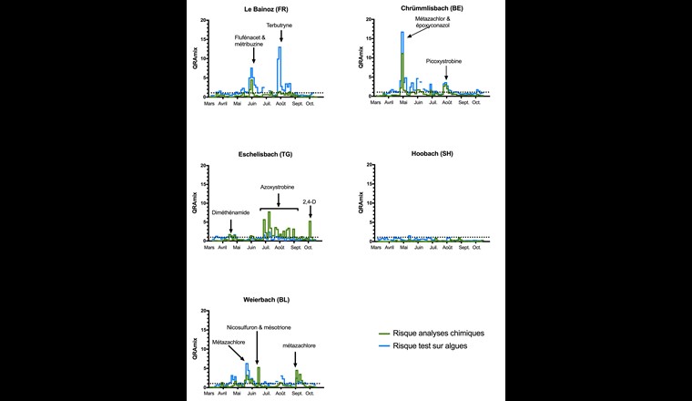 Fig. 4 Comparaison des QRA livrés par le monitoring basé sur les effets (en bleu, inhibition de croissance au bout de 24h dans le test combiné sur algues vertes) et par le monitoring chimique (en vert, QRAmix des substances agissant sur les végétaux). La ligne pointillée correspond à un QR de 1. La figure indique par ailleurs les PPh dominants pour le risque. DEQ = concentrations d'équivalents diuron, accolade dans le graphique de l'Eschelisbach: tous les pics sont dominés par l'azoxystrobine.
