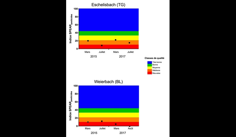 Fig. 6 Comparaison des valeurs de l'indice SPEAR déterminées en 2015 et en 2017 à partir des espèces d'invertébrés recensées dans l'Eschelisbach et le Weierbach. Bien que les relevés effectués en 2017 l'aient été dans une partie du Weierbach en meilleur état écomorphologique, l'indice SPEAR mesuré en 2017 était plus faible qu'en 2015, aussi bien au printemps qu'en été. L'assèchement de certaines portions du ruisseau en été a peut-être contribué à cette baisse.