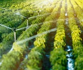 (c) Andor-Bujdoso/123rf.com (c) Andor-Bujdoso/123rf.com