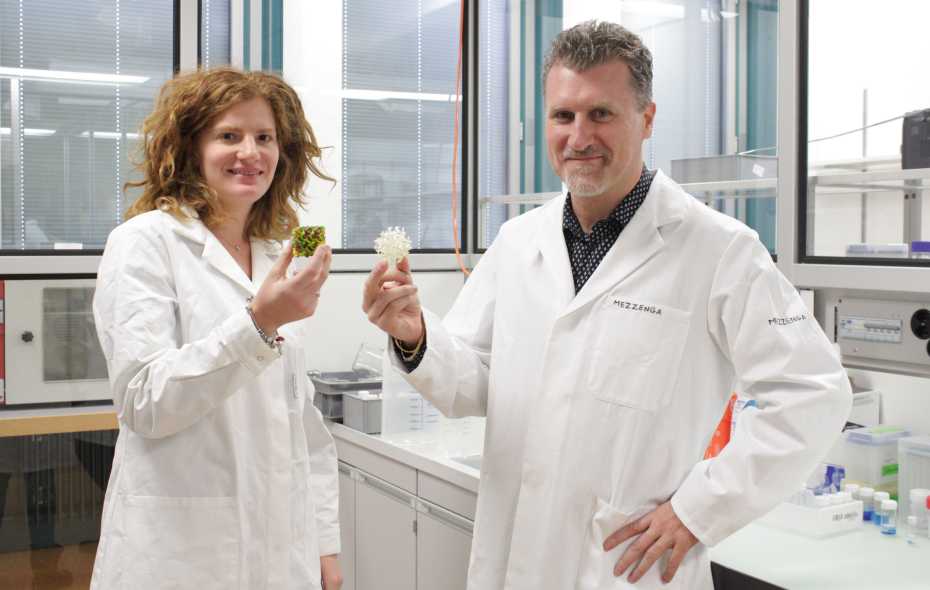 Livia Salvati Manni und ETH-Professor Raffaele Mezzenga mit Modellen der Lipid-Mesophasen.