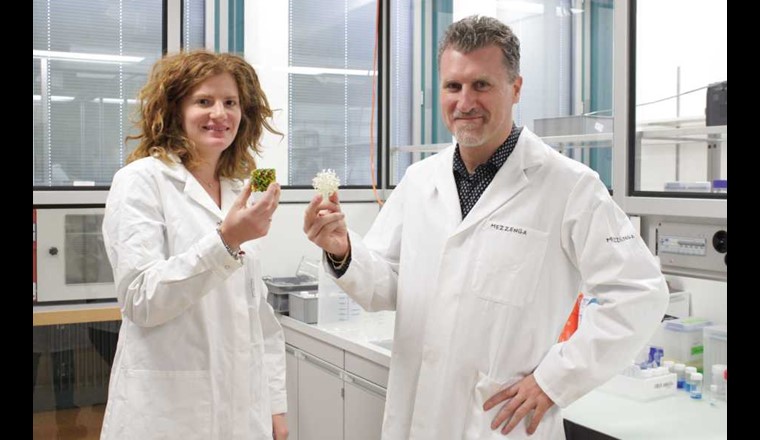 Livia Salvati Manni und ETH-Professor Raffaele Mezzenga mit Modellen der Lipid-Mesophasen.