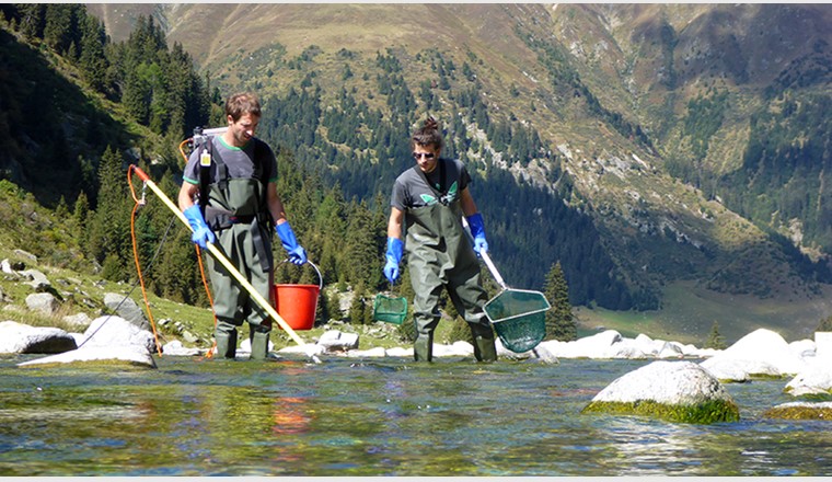 Eawag-Mitarbeiter fischen in einem Gebirgsbach, dem Rein da Cristallina, im Tessin. (Foto: Eawag)